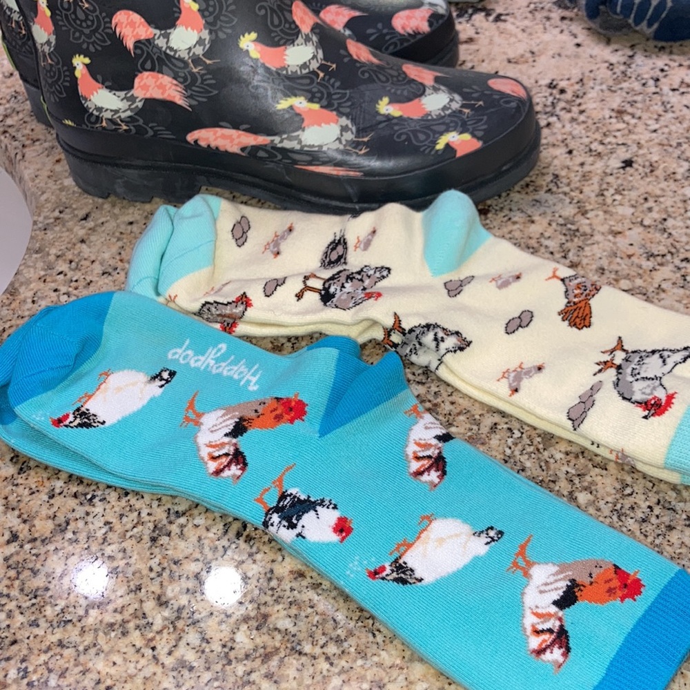 Welly Chicken boots and socks